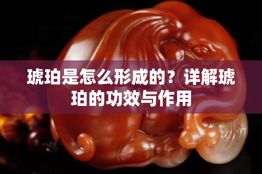 琥珀是怎么形成的？详解琥珀的功效与作用