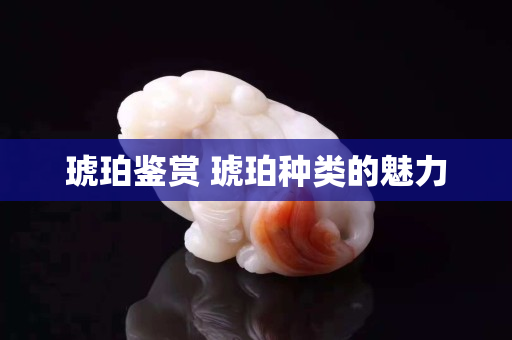 琥珀鉴赏 琥珀种类的魅力