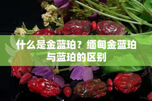 什么是金蓝珀？缅甸金蓝珀与蓝珀的区别