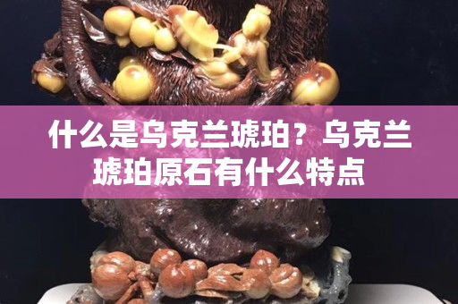 什么是乌克兰琥珀？乌克兰琥珀原石有什么特点