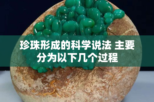 珍珠形成的科学说法 主要分为以下几个过程