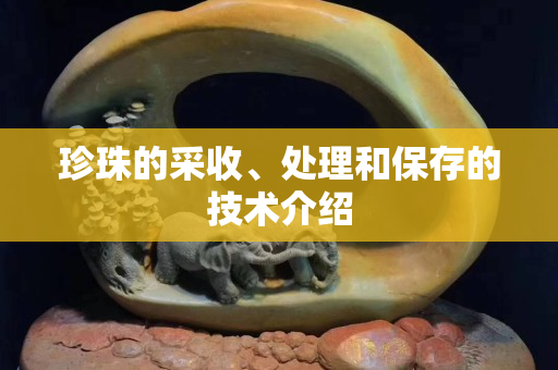 珍珠的采收、处理和保存的技术介绍