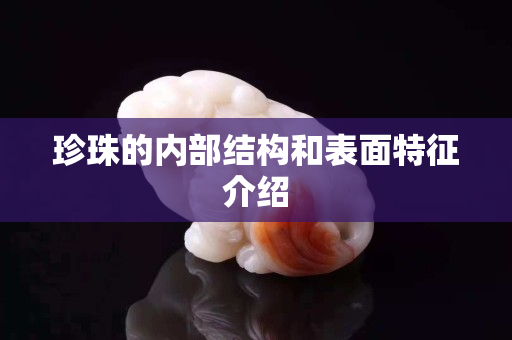 珍珠的内部结构和表面特征介绍