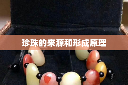 珍珠的来源和形成原理