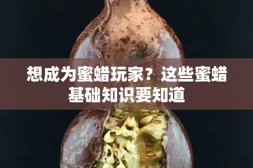 想成为蜜蜡玩家？这些蜜蜡基础知识要知道