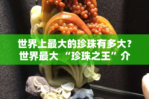 世界上最大的珍珠有多大？世界最大 “珍珠之王”介绍