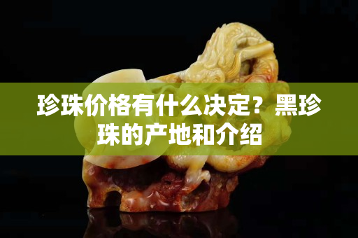 珍珠价格有什么决定？黑珍珠的产地和介绍