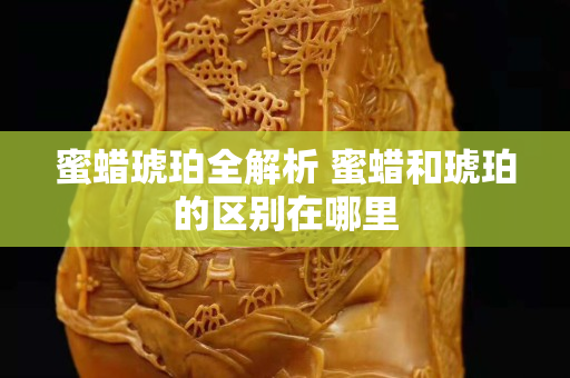 蜜蜡琥珀全解析 蜜蜡和琥珀的区别在哪里