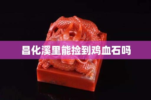 昌化溪里能捡到鸡血石吗