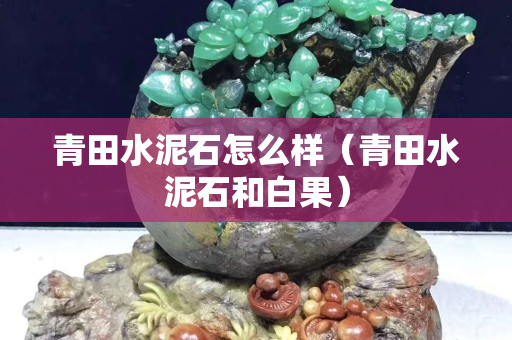 青田水泥石怎么样（青田水泥石和白果）