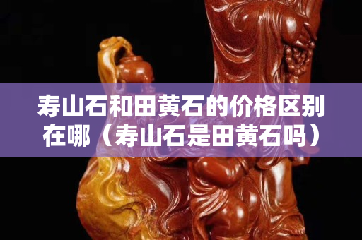 寿山石和田黄石的价格区别在哪（寿山石是田黄石吗）