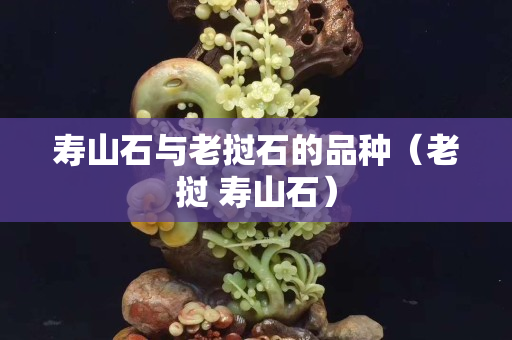 寿山石与老挝石的品种（老挝 寿山石）