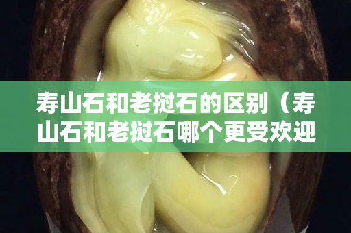 寿山石和老挝石的区别（寿山石和老挝石哪个更受欢迎）