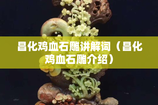 昌化鸡血石雕讲解词（昌化鸡血石雕介绍）