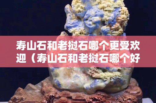 寿山石和老挝石哪个更受欢迎（寿山石和老挝石哪个好）