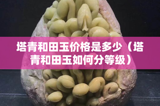 塔青和田玉价格是多少（塔青和田玉如何分等级）