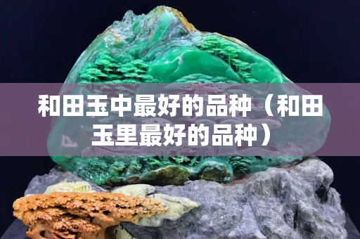 和田玉中最好的品种（和田玉里最好的品种）