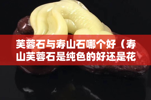 芙蓉石与寿山石哪个好（寿山芙蓉石是纯色的好还是花的好）