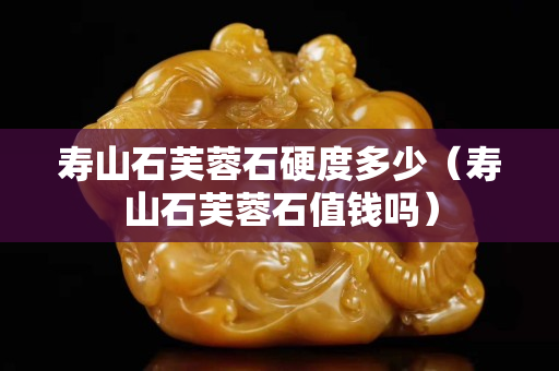 寿山石芙蓉石硬度多少（寿山石芙蓉石值钱吗）