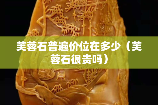 芙蓉石普遍价位在多少（芙蓉石很贵吗）