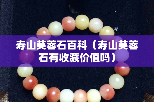 寿山芙蓉石百科（寿山芙蓉石有收藏价值吗）