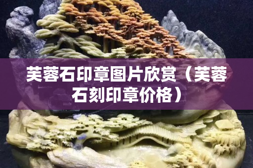 芙蓉石印章图片欣赏（芙蓉石刻印章价格）