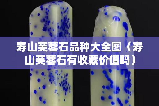 寿山芙蓉石品种大全图（寿山芙蓉石有收藏价值吗）