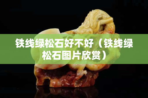 铁线绿松石好不好（铁线绿松石图片欣赏）