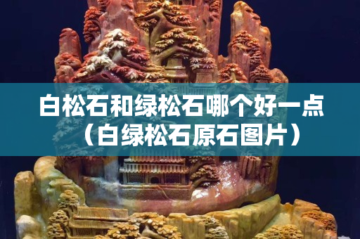 白松石和绿松石哪个好一点（白绿松石原石图片）
