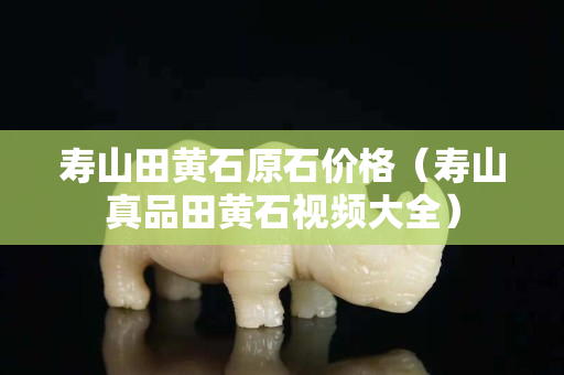 寿山田黄石原石价格（寿山真品田黄石视频大全）