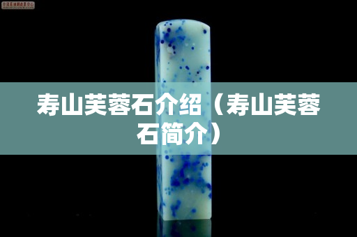 寿山芙蓉石介绍（寿山芙蓉石简介）
