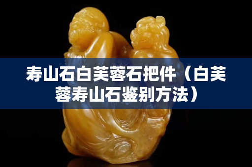 寿山石白芙蓉石把件（白芙蓉寿山石鉴别方法）