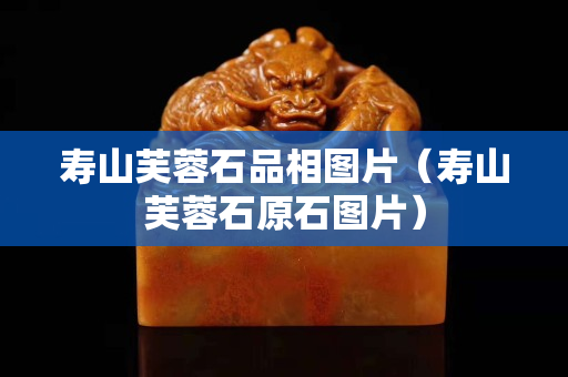 寿山芙蓉石品相图片（寿山芙蓉石原石图片）