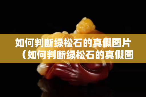 如何判断绿松石的真假图片（如何判断绿松石的真假图片大全）