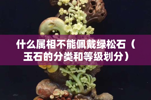 什么属相不能佩戴绿松石（玉石的分类和等级划分）