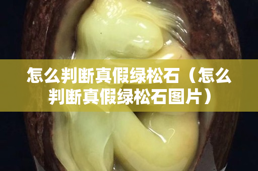 怎么判断真假绿松石（怎么判断真假绿松石图片）