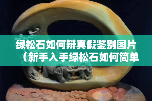 绿松石如何辩真假鉴别图片（新手入手绿松石如何简单辨别真假）