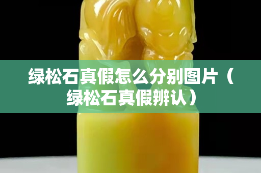 绿松石真假怎么分别图片（绿松石真假辨认）