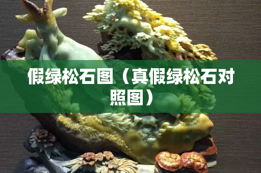 假绿松石图（真假绿松石对照图）