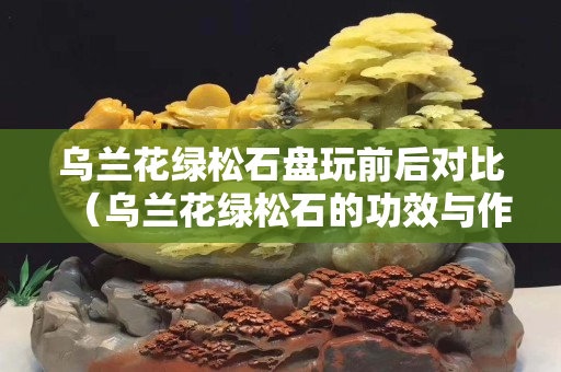 乌兰花绿松石盘玩前后对比（乌兰花绿松石的功效与作用）