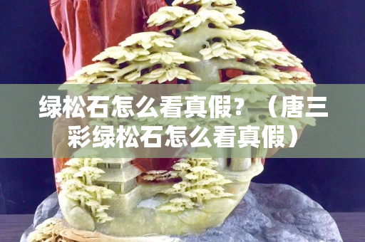 绿松石怎么看真假？（唐三彩绿松石怎么看真假）
