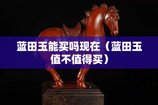 蓝田玉能买吗现在（蓝田玉值不值得买）