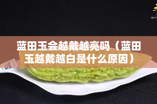 蓝田玉会越戴越亮吗（蓝田玉越戴越白是什么原因）