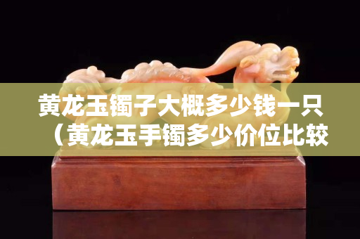 黄龙玉镯子大概多少钱一只（黄龙玉手镯多少价位比较合适）
