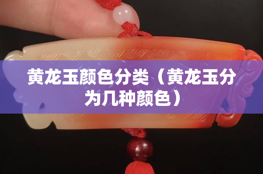 黄龙玉颜色分类（黄龙玉分为几种颜色）