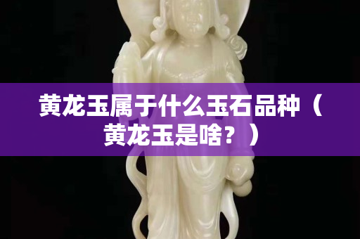 黄龙玉属于什么玉石品种（黄龙玉是啥？）