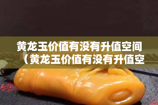 黄龙玉价值有没有升值空间（黄龙玉价值有没有升值空间大）