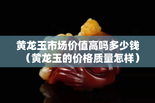 黄龙玉市场价值高吗多少钱（黄龙玉的价格质量怎样）