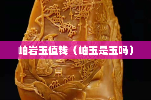 岫岩玉值钱（岫玉是玉吗）