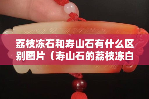 荔枝冻石和寿山石有什么区别图片（寿山石的荔枝冻白色的贵不贵）